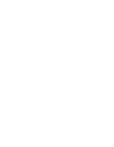 LOGO TLS